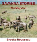savanna book cover