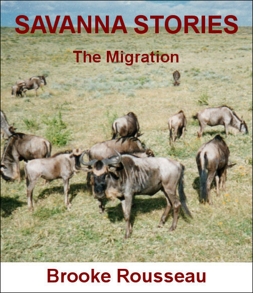 Savanna Stories by Brooke Rousseau